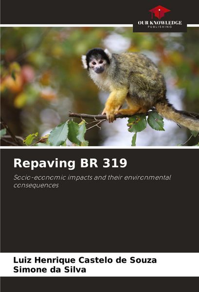 Produktbild: Repaving BR 319