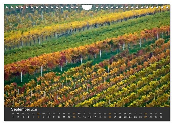 Produktbild: Die S&uuml;dsteirischen Weinstrasse (Wandkalender 2026 DIN A4 quer), CALVENDO Monatskalender