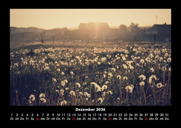 Produktbild: Blumentr&auml;ume 2026 Fotokalender DIN A3