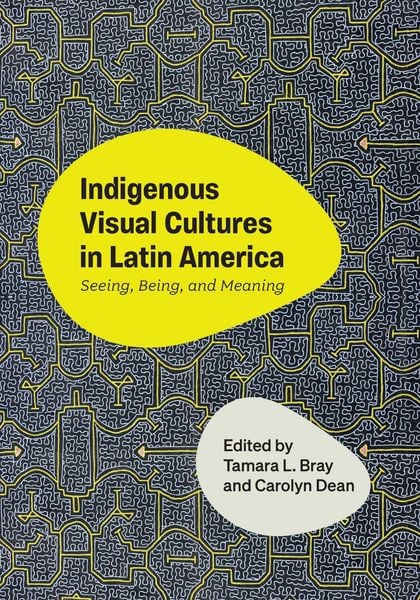 Produktbild: Indigenous Visual Cultures in Latin America