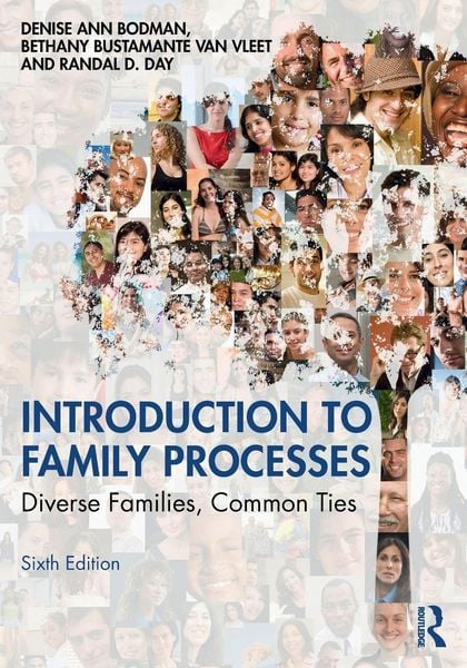 Produktbild: Introduction to Family Processes