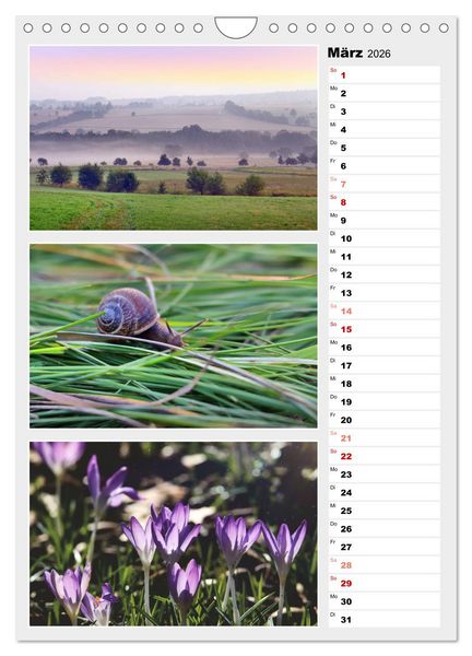 Produktbild: Zauberhafte Farben der Natur (Wandkalender 2026 DIN A4 hoch), CALVENDO Monatskalender
