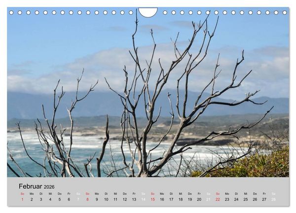 Produktbild: Momente in S&uuml;dafrika (Wandkalender 2026 DIN A4 quer), CALVENDO Monatskalender