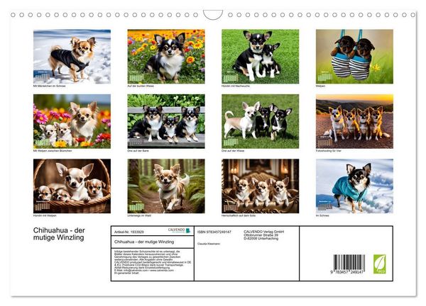 Produktbild: Chihuahua - der mutige Winzling (Wandkalender 2026 DIN A3 quer), CALVENDO Monatskalender