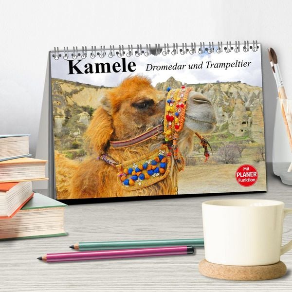 Produktbild: Kamele. Dromedar und Trampeltier (Tischkalender 2026 DIN A5 quer), CALVENDO Monatskalender