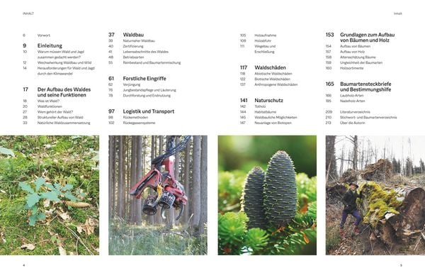 Produktbild: Waldbau f&uuml;r J&auml;ger