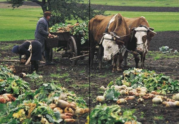 Produktbild: Echte Bauern retten die Welt!