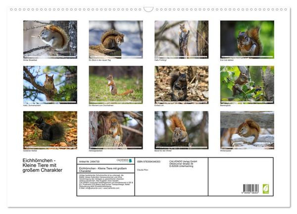 Produktbild: Eichh&ouml;rnchen - Kleine Tiere mit gro&szlig;em Charakter (Wandkalender 2027 DIN A2 quer), CALVENDO Monatskalender