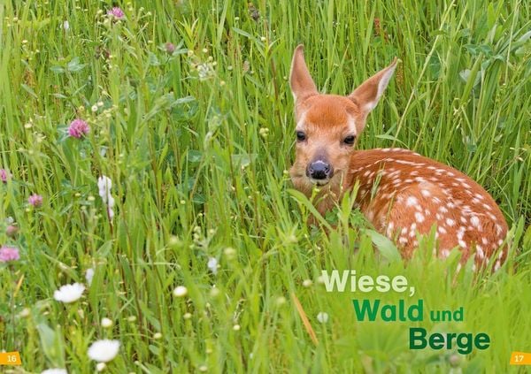 Produktbild: WAS IST WAS Erstes Lesen Band 4. Natur entdecken