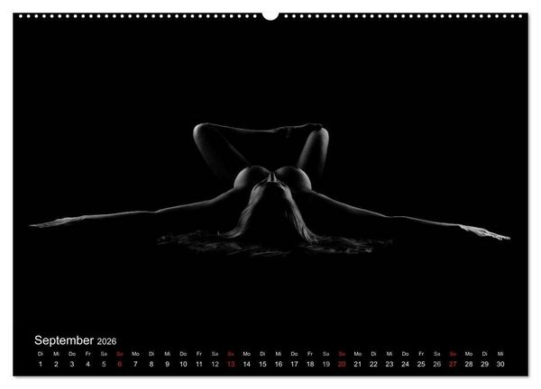 Produktbild: Kunstakt (Wandkalender 2026 DIN A2 quer), CALVENDO Monatskalender
