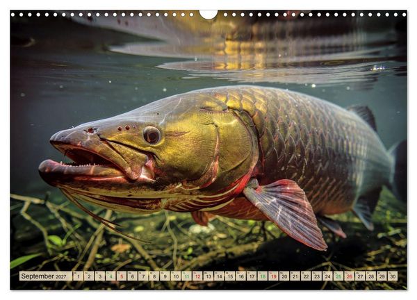 Produktbild: Gro&szlig;tiere - Weltweit (Wandkalender 2027 DIN A3 quer), CALVENDO Monatskalender