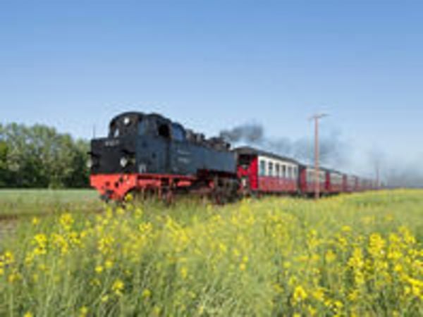 CALVENDO Puzzle Ein Motiv aus dem Kalender Dampfeisenbahnen in Deutschland | 1000 Teile Lege-Größe 64x48cm Foto-Puzzle für glückliche Stunden