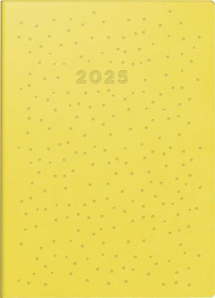 Rido/idé 7018504035 Taschenkalender Modell Technik S (2025) 'Dots'| 2 Seiten = 1 Woche| A6| 144 Seiten| Kunstleder-Einba