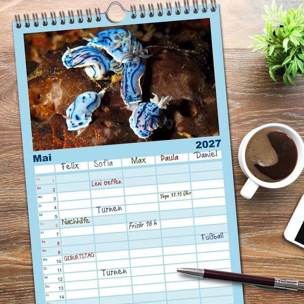 Produktbild: Familienplaner 2027 - Meeres-Schnecken mit 5 Spalten (Wandkalender, 21 x 45 cm) CALVENDO