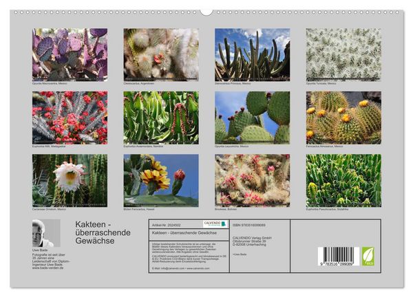 Produktbild: Kakteen - &uuml;berraschende Gew&auml;chse (hochwertiger Premium Wandkalender 2026 DIN A2 quer), Kunstdruck in Hochglanz
