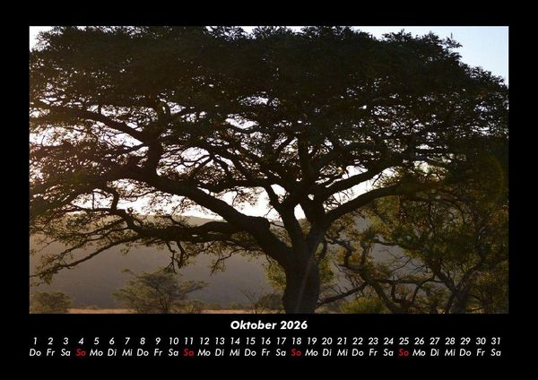 Produktbild: B&auml;ume 2026 Fotokalender DIN A3