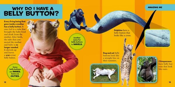 Produktbild: National Geographic Little Kids First Big Book of Why