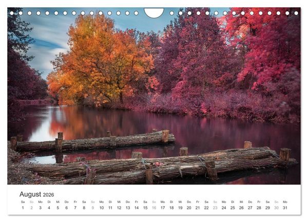 Produktbild: Cottbus und seine Umgebung in Infrarot (Wandkalender 2026 DIN A4 quer), CALVENDO Monatskalender