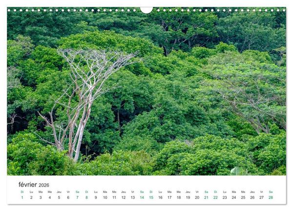Produktbild: Magnifique &icirc;le Maurice (Calendrier mural 2026 DIN A3 vertical), CALVENDO calendrier mensuel