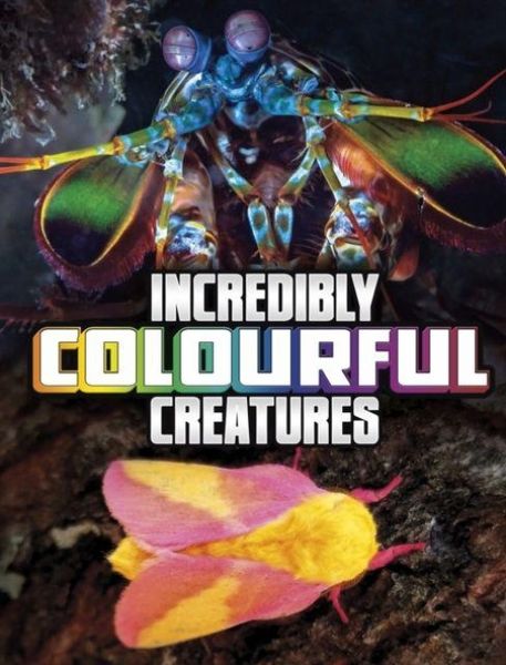 Produktbild: Incredibly Colourful Creatures