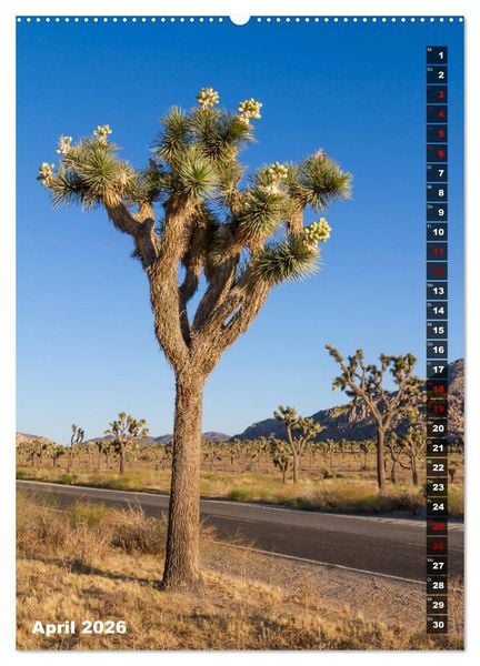 Produktbild: Impressionen aus dem JOSHUA TREE NATIONAL PARK (Wandkalender 2026 DIN A2 hoch), CALVENDO Monatskalender