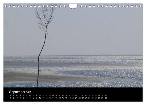 Produktbild: Wunderbare Nordsee (Wandkalender 2026 DIN A4 quer), CALVENDO Monatskalender