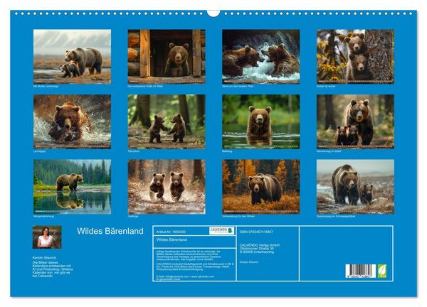 Produktbild: Wildes B&auml;renland (Wandkalender 2026 DIN A2 quer), CALVENDO Monatskalender