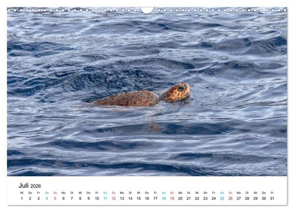 Produktbild: La Palma - La Isla Bonita, die Sch&ouml;nste der Kanaren (Wandkalender 2026 DIN A3 quer), CALVENDO Monatskalender