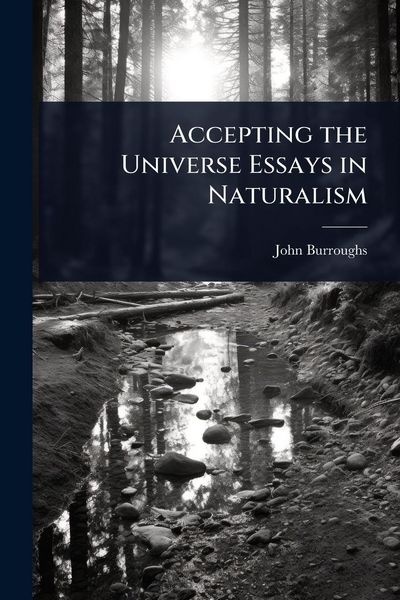 Produktbild: Accepting the Universe Essays in Naturalism