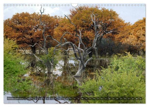 Produktbild: Namibia - Die Landschaft (Wandkalender 2026 DIN A3 quer), CALVENDO Monatskalender