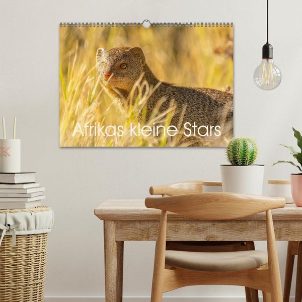 Produktbild: Afrikas kleine Stars (Wandkalender 2026 DIN A3 quer), CALVENDO Monatskalender