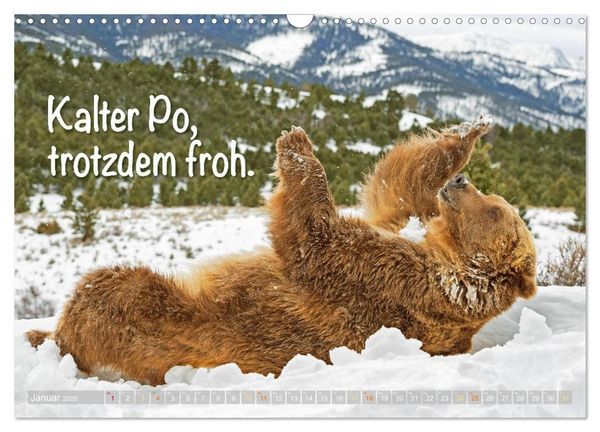 Produktbild: Spa&szlig; mit B&auml;ren: Edition lustige Tiere (Wandkalender 2026 DIN A3 quer), CALVENDO Monatskalender
