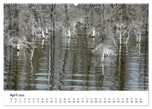Produktbild: Unendlichkeit in Alaska und Yukon (Wandkalender 2026 DIN A2 quer), CALVENDO Monatskalender