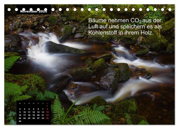 Produktbild: Schlaumeier-Kalender - Thema: Wald (Tischkalender 2026 DIN A5 quer), CALVENDO Monatskalender