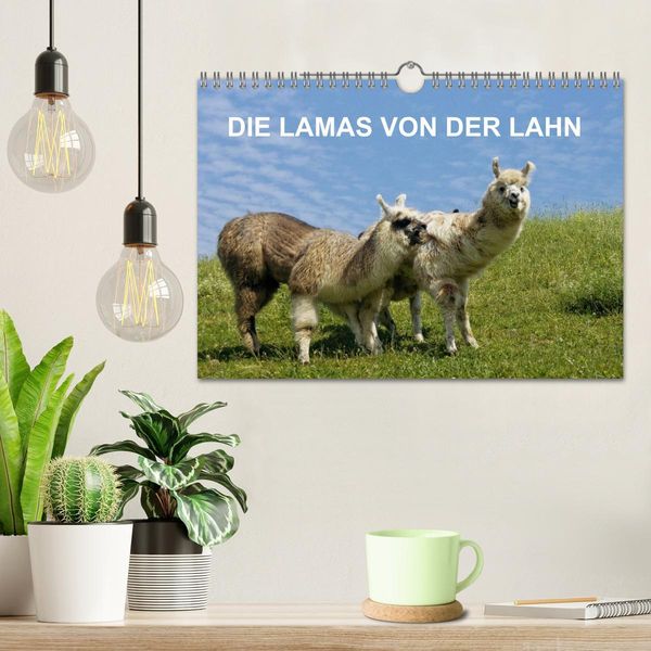 Produktbild: DIE LAMAS VON DER LAHN (Wandkalender 2026 DIN A4 quer), CALVENDO Monatskalender