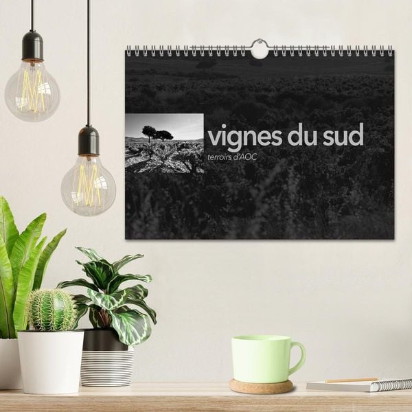 Produktbild: VIGNES DU SUD terroirs d'AOC (Calendrier mural 2026 DIN A4 vertical), CALVENDO calendrier mensuel