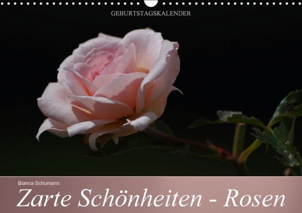 Produktbild: Zarte Sch&ouml;nheiten - Rosen (Wandkalender immerw&auml;hrend DIN A3 quer)
