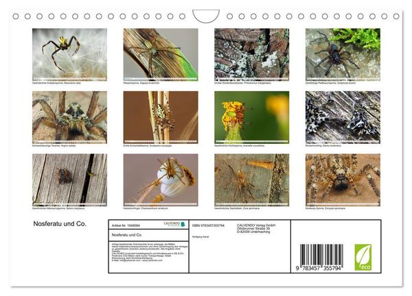Produktbild: Nosferatu und Co. (Wandkalender 2026 DIN A4 quer), CALVENDO Monatskalender