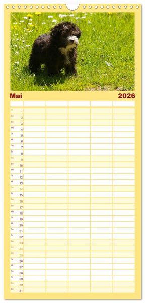 Produktbild: Familienplaner 2026 - Bolonka Zwetna mit 5 Spalten (Wandkalender, 21 x 45 cm) CALVENDO