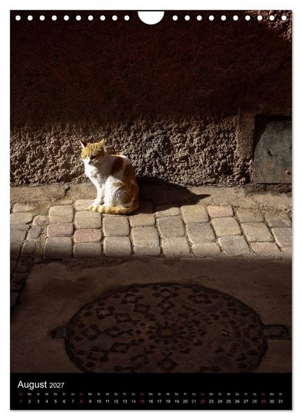 Produktbild: Katzen in Marokko (Wandkalender 2027 DIN A4 hoch), CALVENDO Monatskalender
