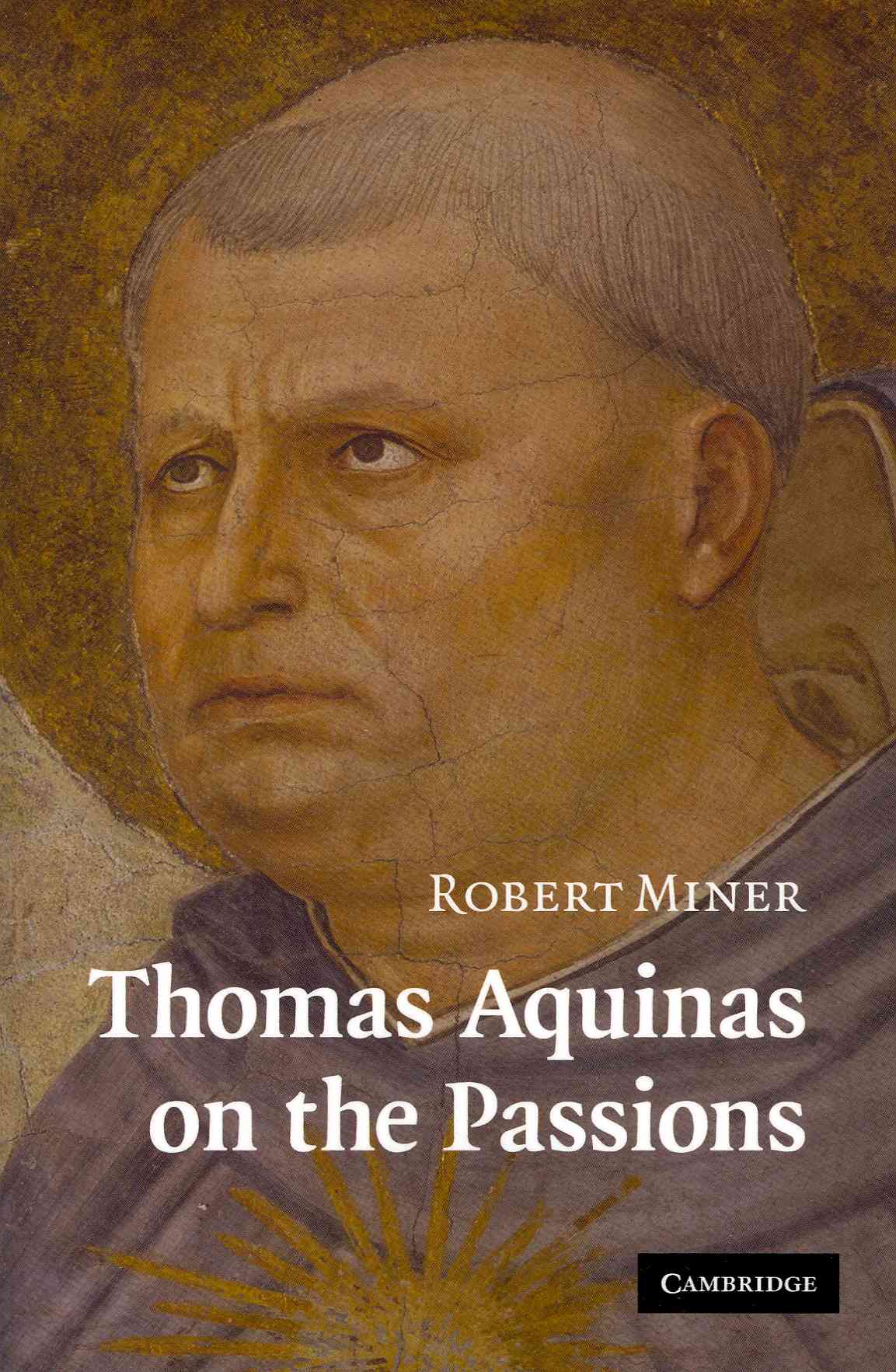 Produktbild: Thomas Aquinas on the Passions