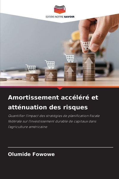 Produktbild: Amortissement acc&eacute;l&eacute;r&eacute; et att&eacute;nuation des risques