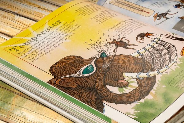 Produktbild: Das Mammut-Buch Mathematik