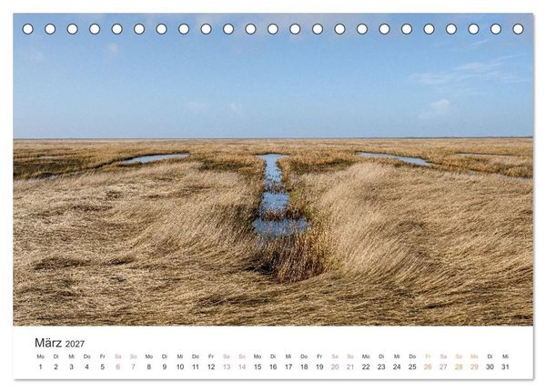 Produktbild: Hamburger Hallig - Der Weg ist das Ziel (Tischkalender 2027 DIN A5 quer), CALVENDO Monatskalender