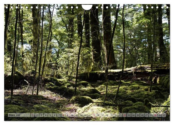 Produktbild: Kia ora, Aotearoa - Wunderbares Neuseeland (Wandkalender 2026 DIN A4 quer), CALVENDO Monatskalender