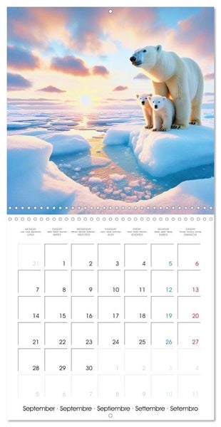 Produktbild: Animals of Arctic (Wall Calendar 2026 12 &times; 12 Inch) CALVENDO 12 Month Wall Calendar
