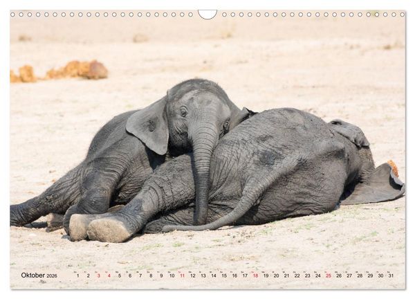 Produktbild: Elefanten - Sanfte Riesen Afrikas (Wandkalender 2026 DIN A3 quer), CALVENDO Monatskalender