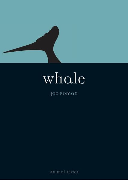 Produktbild: Whale