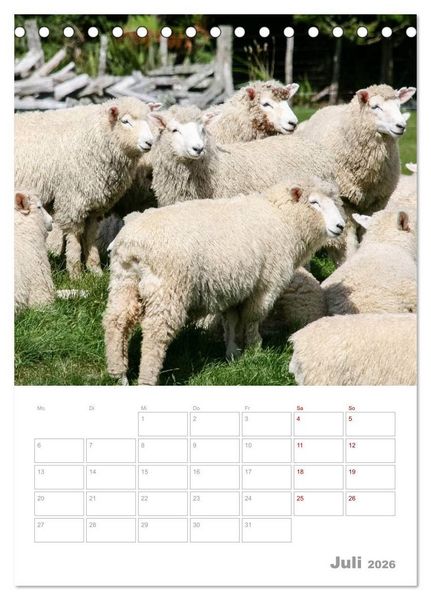 Produktbild: Kalenderplaner g'day Neuseeland 2026 (Tischkalender 2026 DIN A5 hoch), CALVENDO Monatskalender