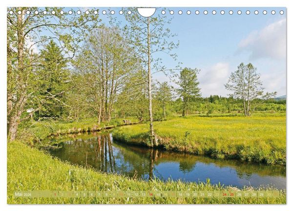 Produktbild: Arber, Rachel und Lusen: Der Hintere Bayerische Wald (Wandkalender 2026 DIN A4 quer), CALVENDO Monatskalender